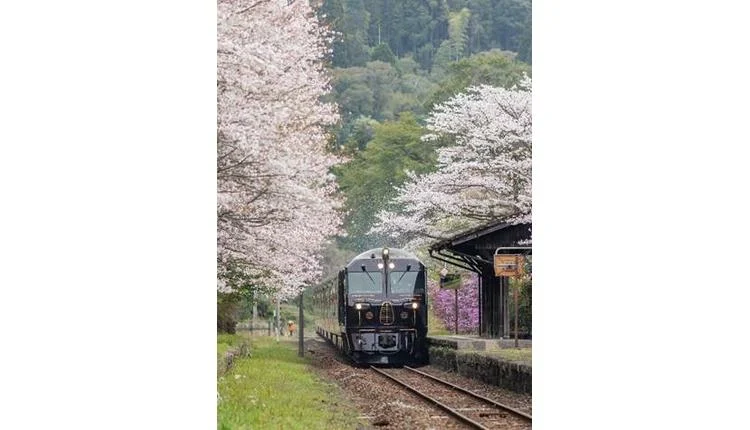 A&K secures 2027 Seven Stars in Kyushu charters for cherry blossom and autumn foliage