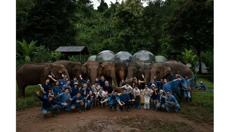Anantara's Golden Triangle resort marks World Elephant Day with conservation push