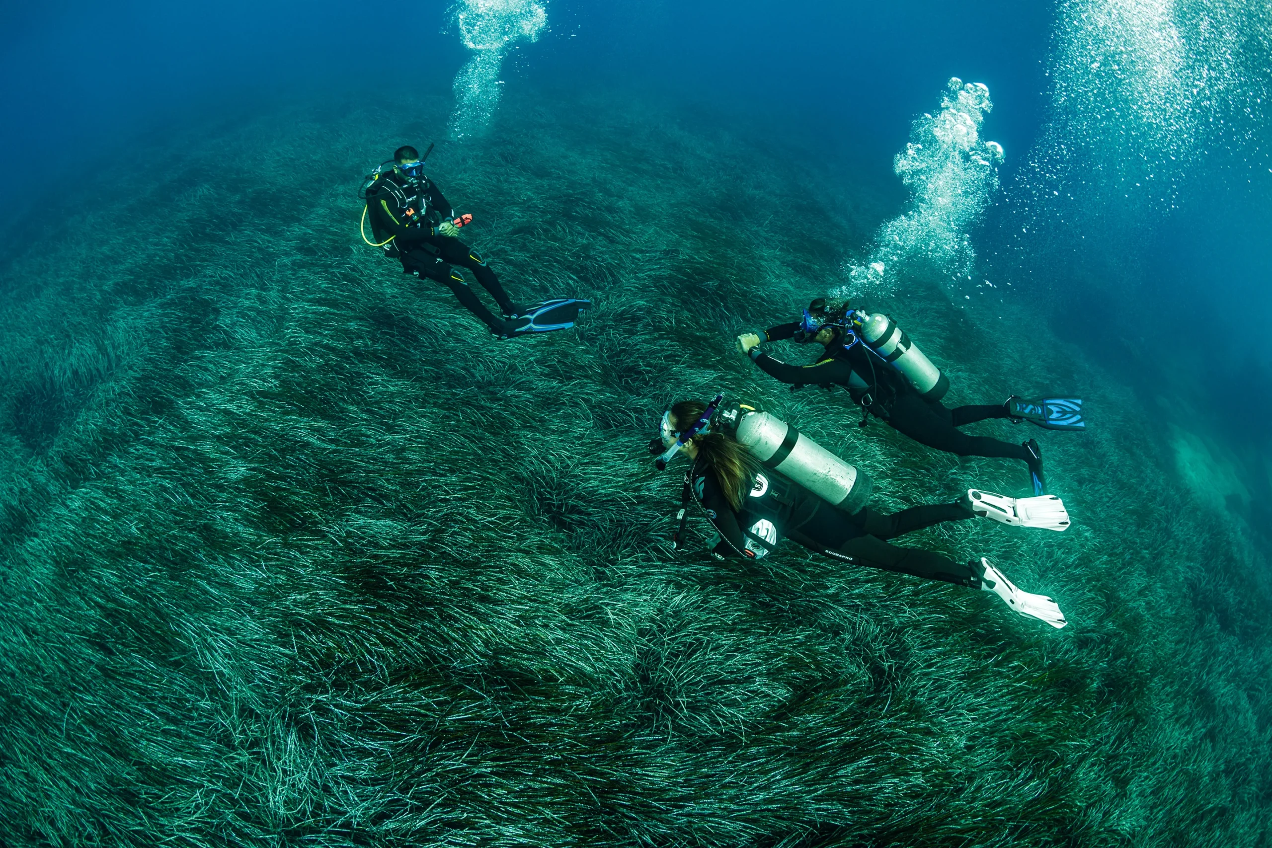 Asia's dive tourism surges as winter travellers seek warm-water escapes