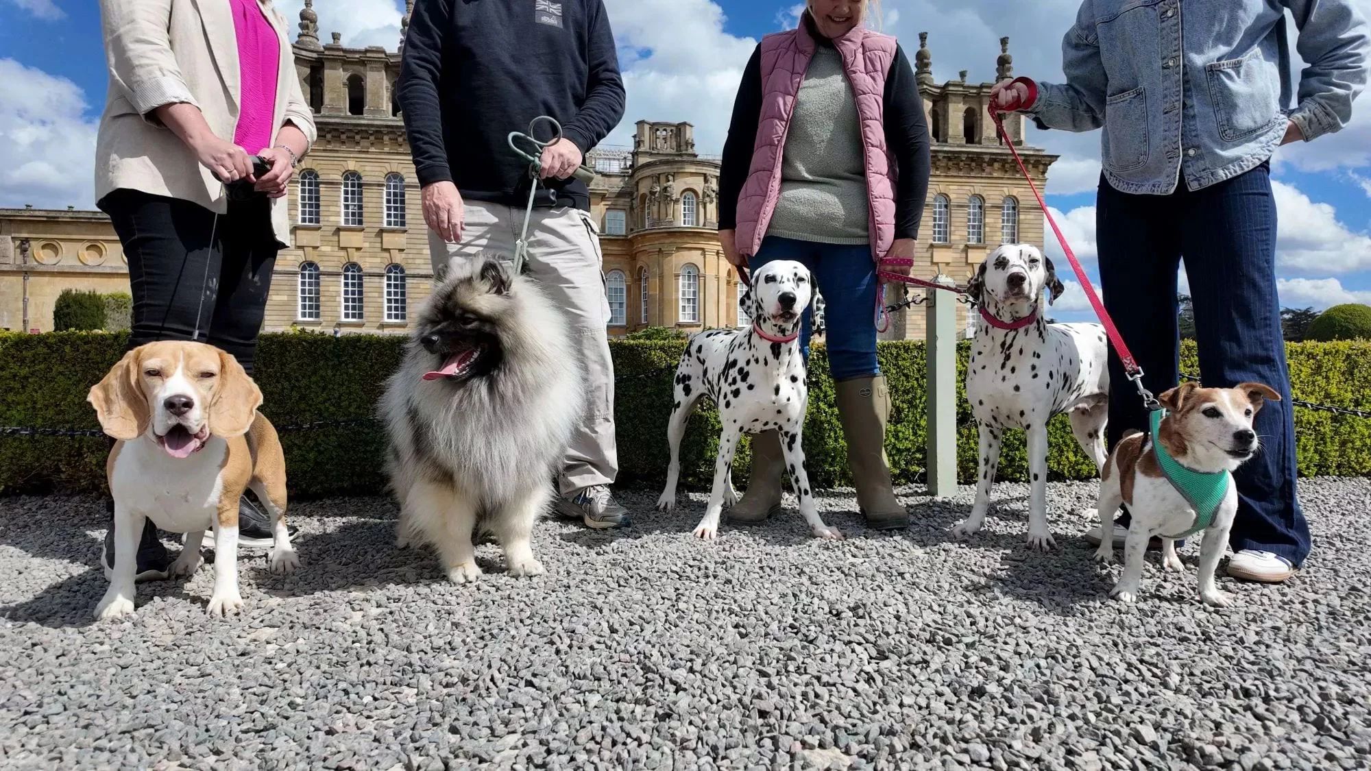 Blenheim Palace opens formal gardens to dogs for autumn event