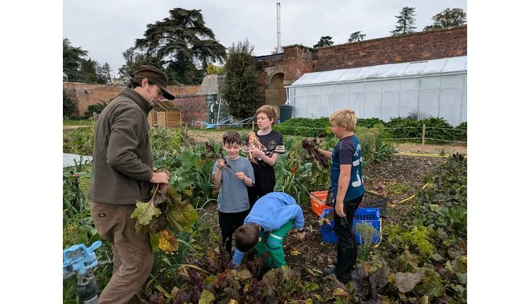 Blenheim Palace Walled Garden Expansion Boosts On-Site Dining and Community Tourism
