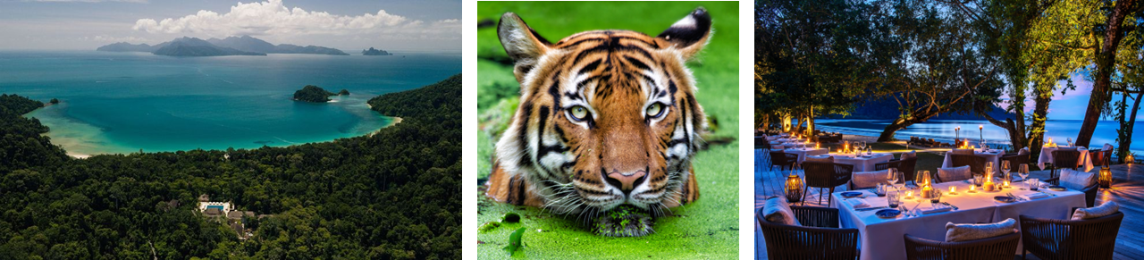 Datai Langkawi joins 2027 Tiger Express conservation rail journey