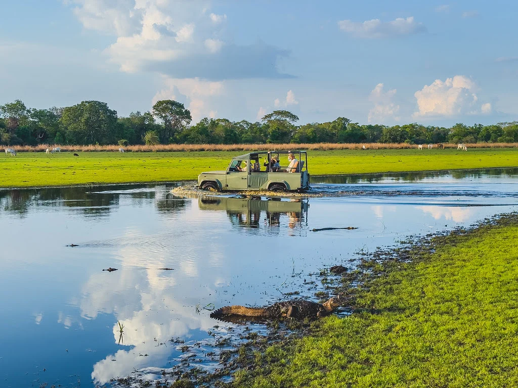 DiCaprio's Pantanal Visit Spotlights Brazil's Conservation Tourism