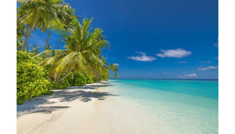 dnata Travel Revives Secret Stays as UAE Travelers Embrace Surprise Bookings for Summer 2026