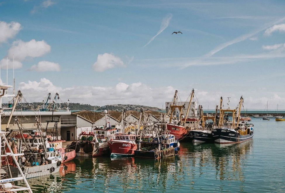England's Seafood FEAST returns to South Devon with expanded programme