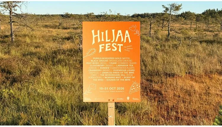 Finland's Hiljaa Fest debuts as world's first nature listening festival