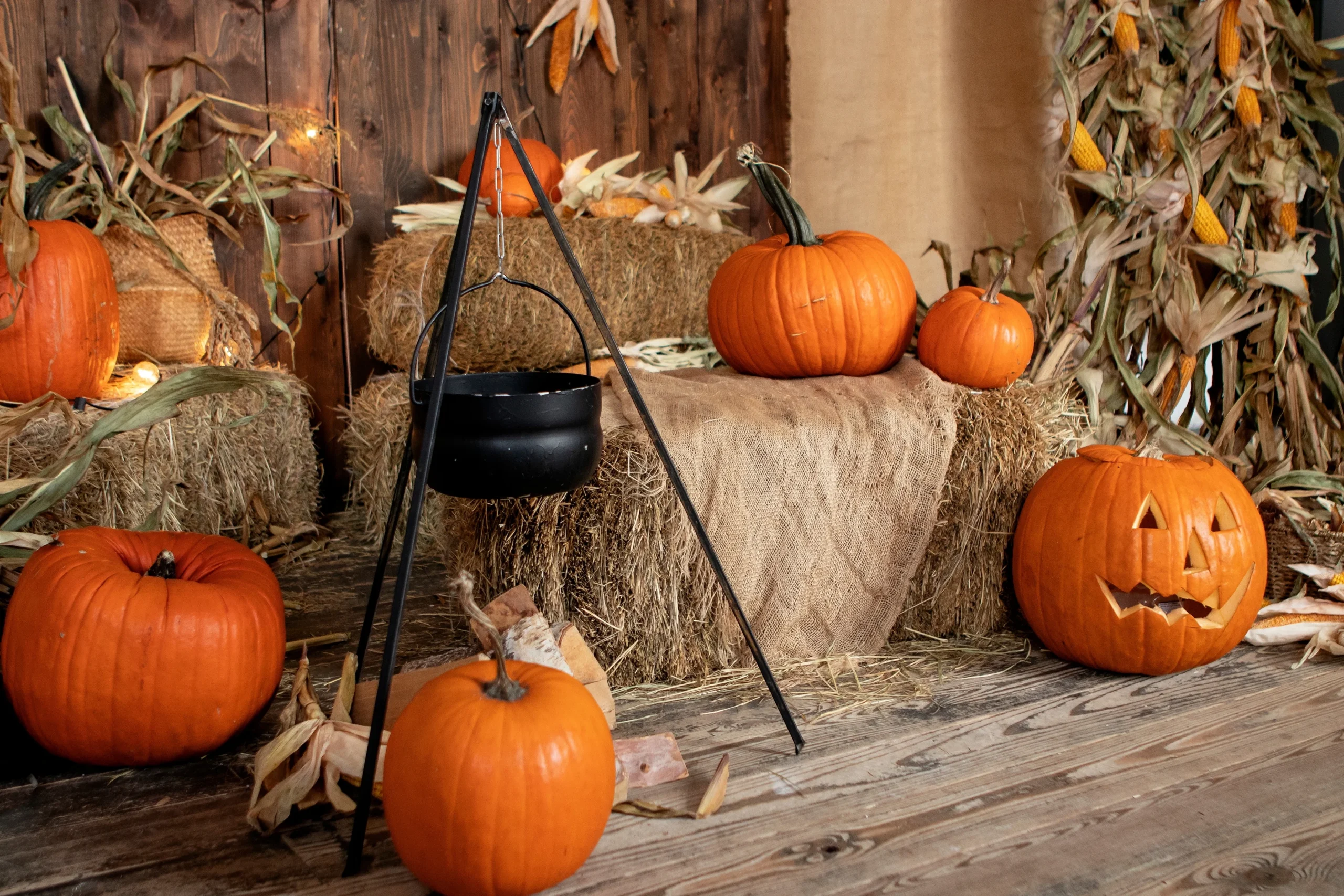 Halloween's evolution from Celtic rite to global tourism driver