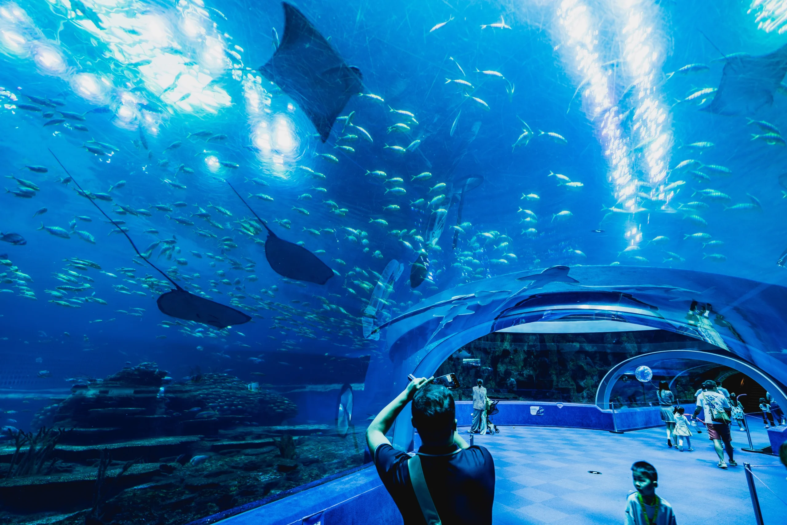 Hengqin Chimelong Resort expands ocean-themed family attractions