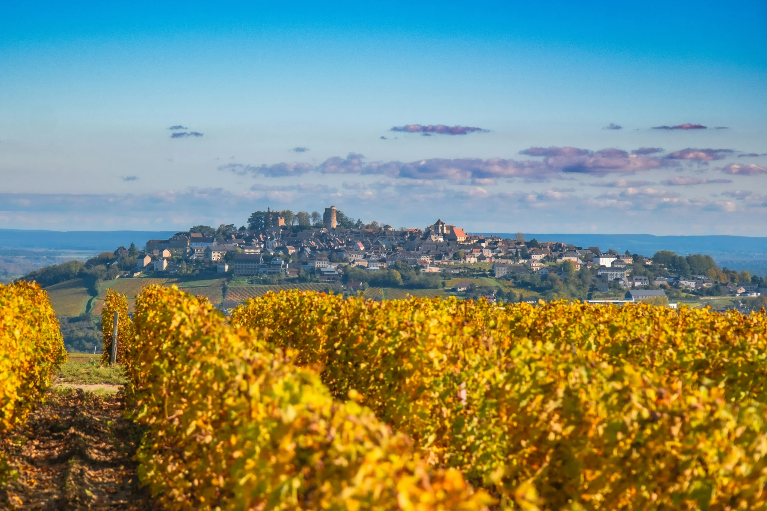 Holafly's Autumn Index: Rhine Valley and Alsace top UK short-haul picks