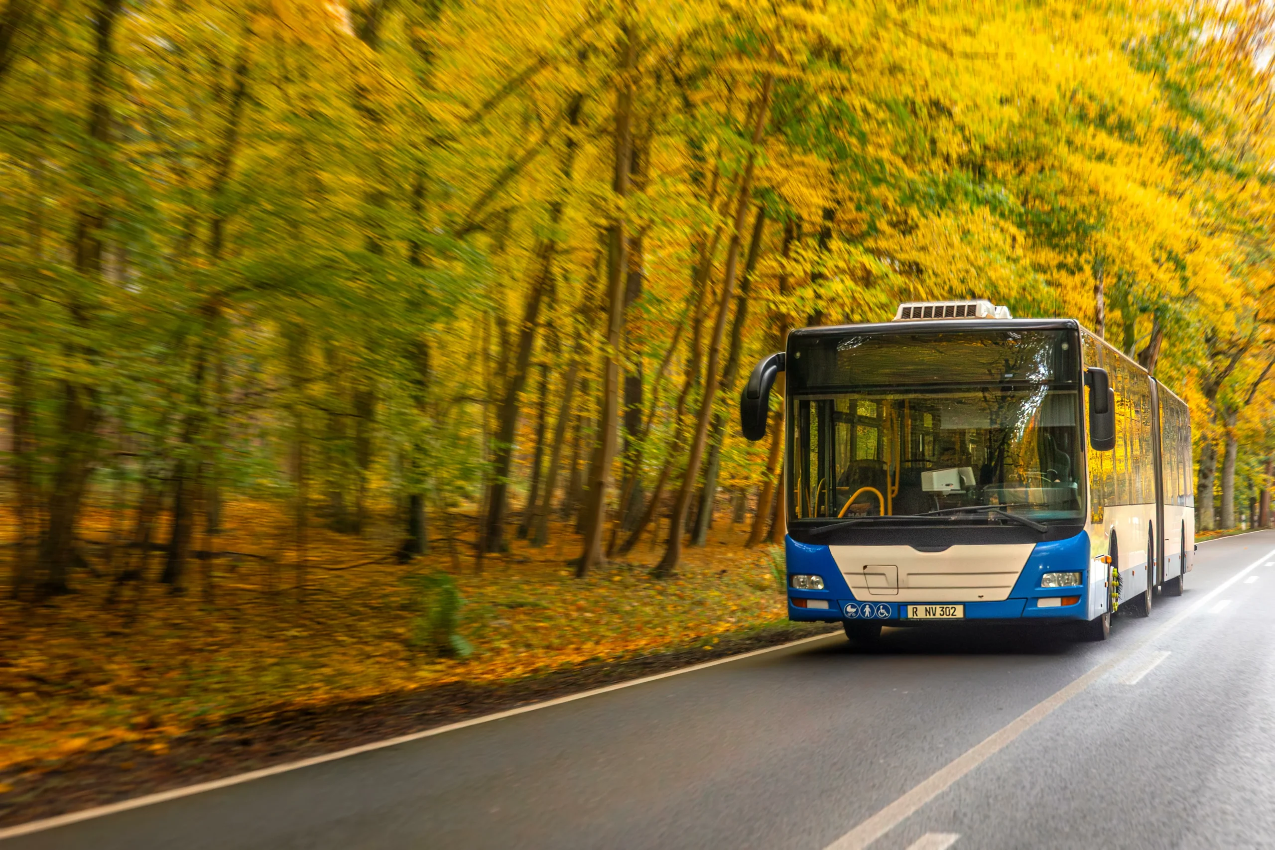 India's young travelers lead shift to shared intercity buses