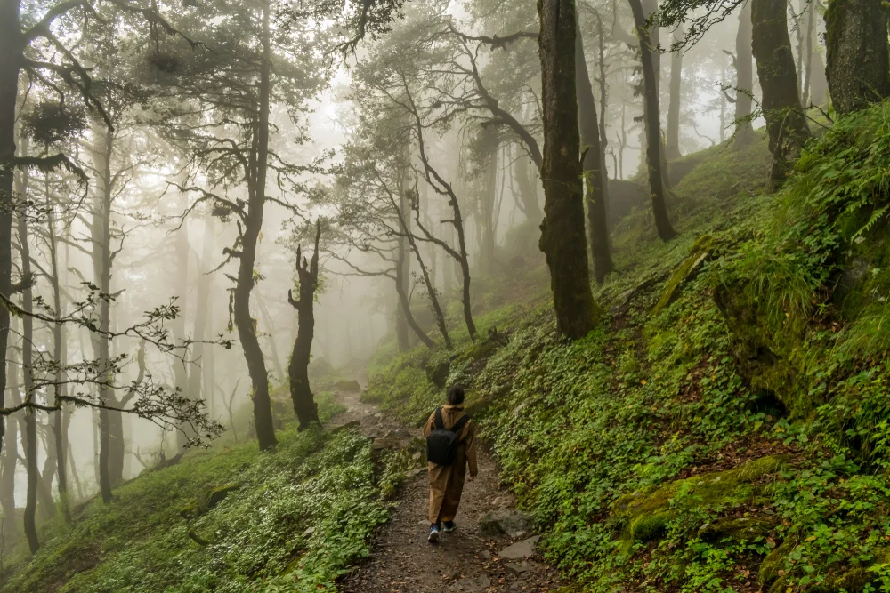 Indian Road Trippers Flock to Remote Hill Stations as Overtourism Strains Classics