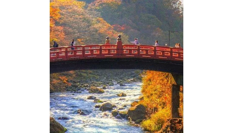 Japan's regional destinations gain ground as Tokyo remains key gateway