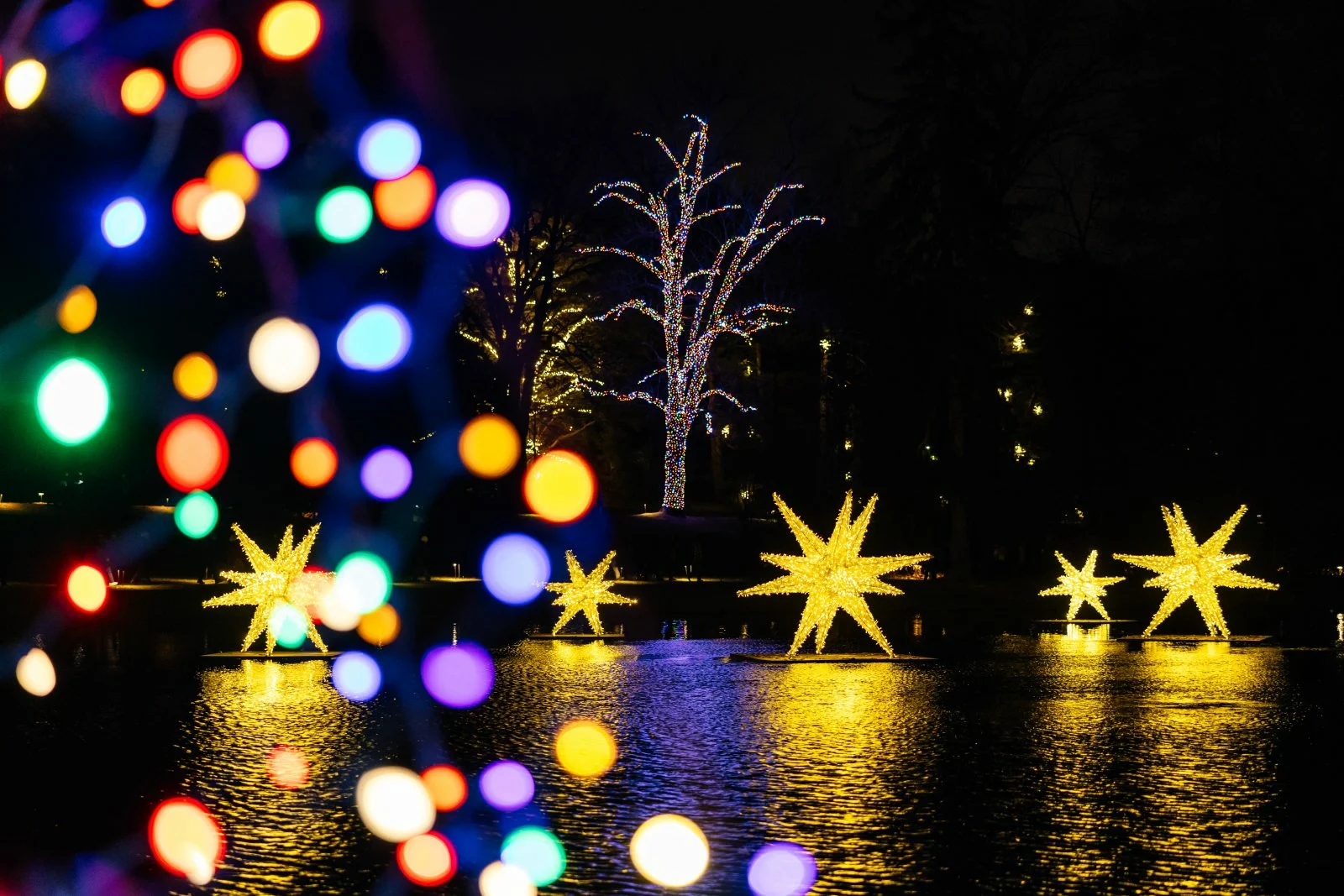 Longwood Gardens' 2026 Christmas Show Goes Cosmic with NASA Imagery
