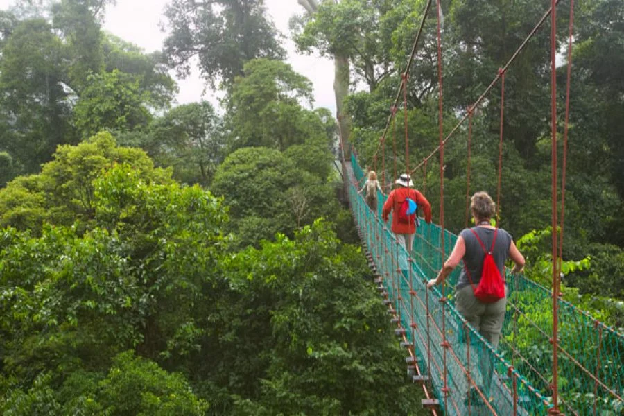 Malaysia Positions Ancient Rainforests as Eco-Tourism Draw for Visit Malaysia Year 2026