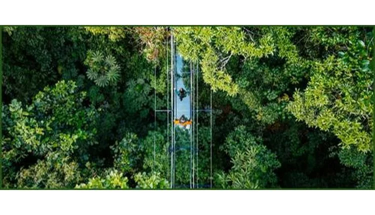 Monteverde Cloud Forest Adds Glass Suspension Bridge to Sky Walk Circuit