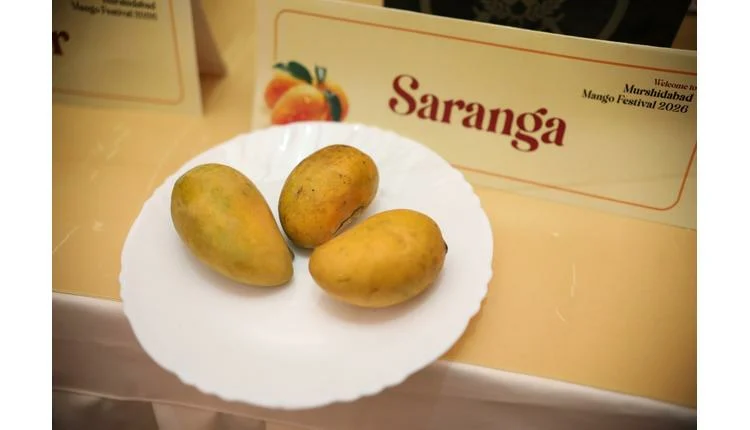 Murshidabad Mango Festival 2026 Highlights Bengal's Rare Nawabi Cultivars for Travel Trade