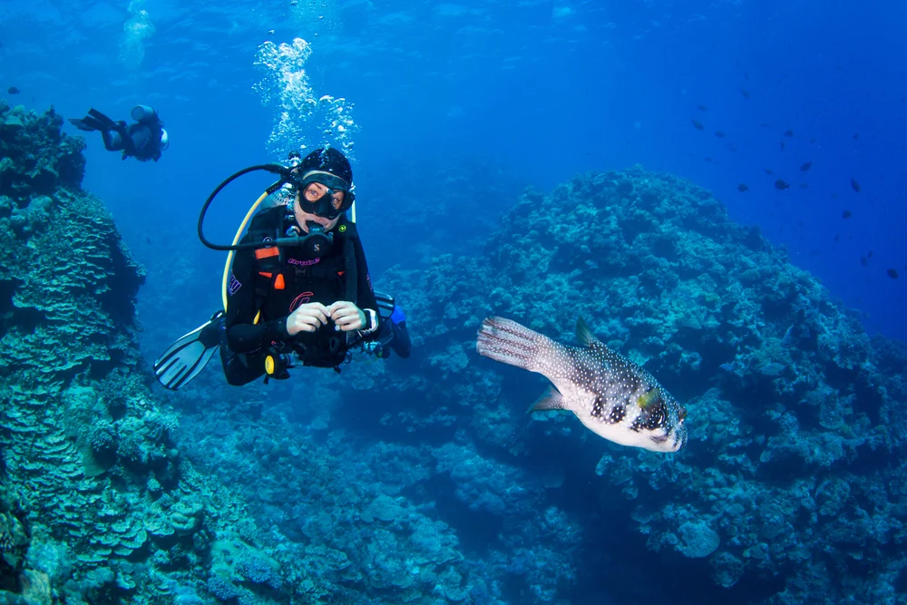 PADI Gathers Global AmbassaDivers on Great Barrier Reef for Inaugural Summit