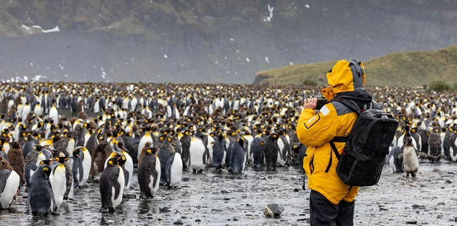 Quark Expeditions Launches Arctic 2028 and Antarctic 2028/29 Seasons with Photography Program and Extensions