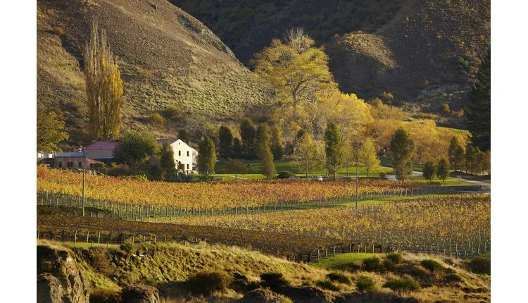 Queenstown biosecurity summit to unite NZ business leaders