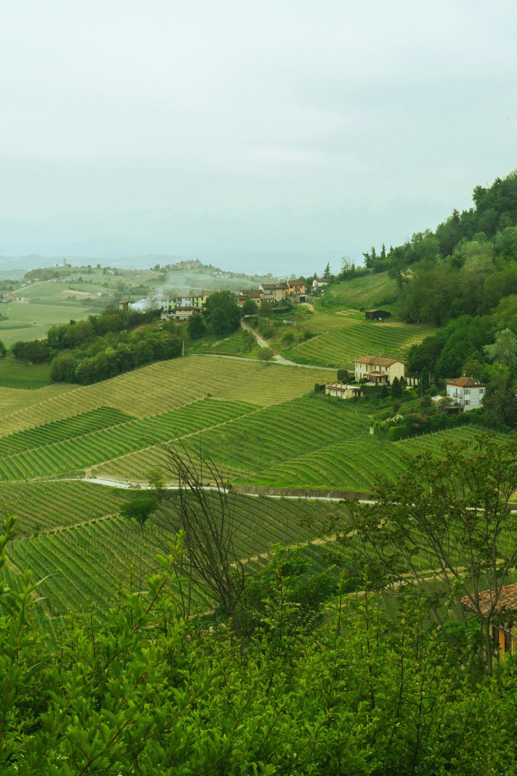 Rail Europe adds Arenaways regional service in Piedmont for slow-travel itineraries