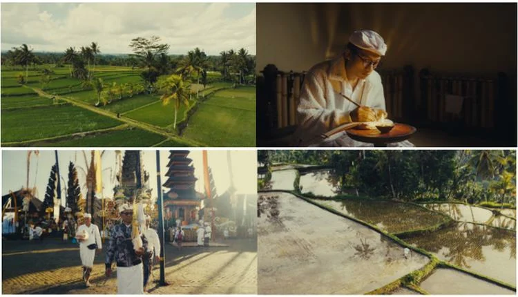 Saka Museum at AYANA Bali Debuts 'Pasihan' Documentary on Subak Water Heritage