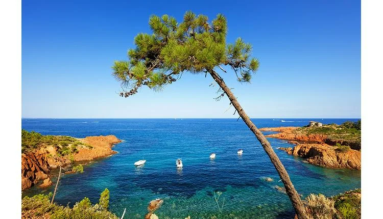 Simpson Travel expands in southern France with South France Villas acquisition