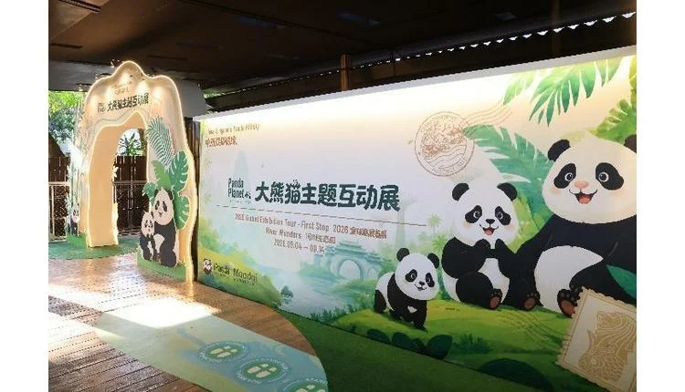 Singapore's River Wonders marks panda birthdays with immersive debut