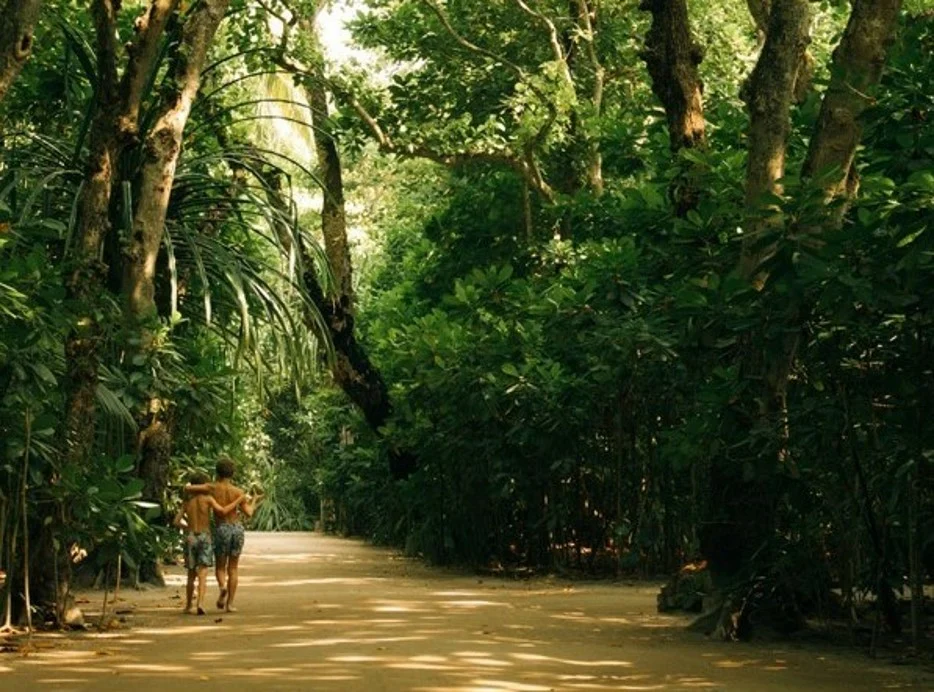 Soneva Evolves Barefoot Luxury into 'Bare Luxury' as Mindful High-End Travel Gains Traction