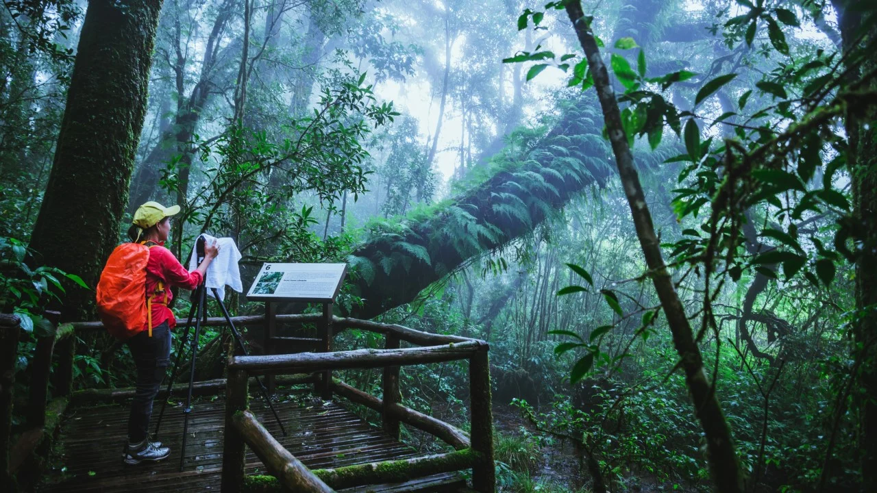 Southeast Asia shifts to indoor and rural tourism as monsoon risks grow