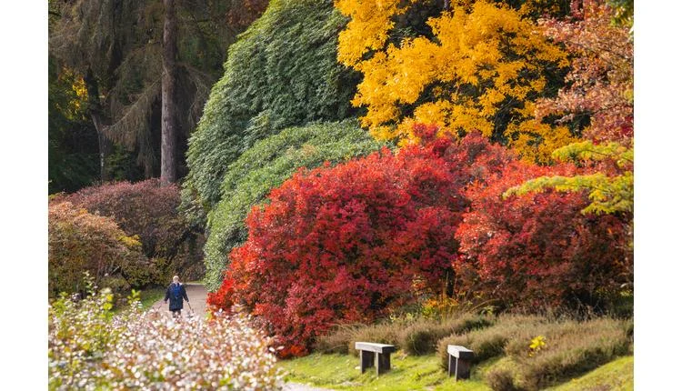 Sussex autumn lineup: opera, harvests, and heritage events