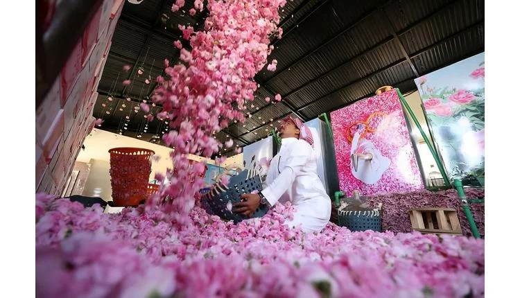 Taif Rose: Saudi Arabia's Luxury Perfume Ingredient Gains UNESCO Recognition