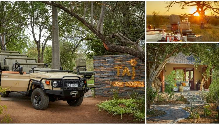 Taj Bush Lodge opens in Greater Kruger with safari-focused stays