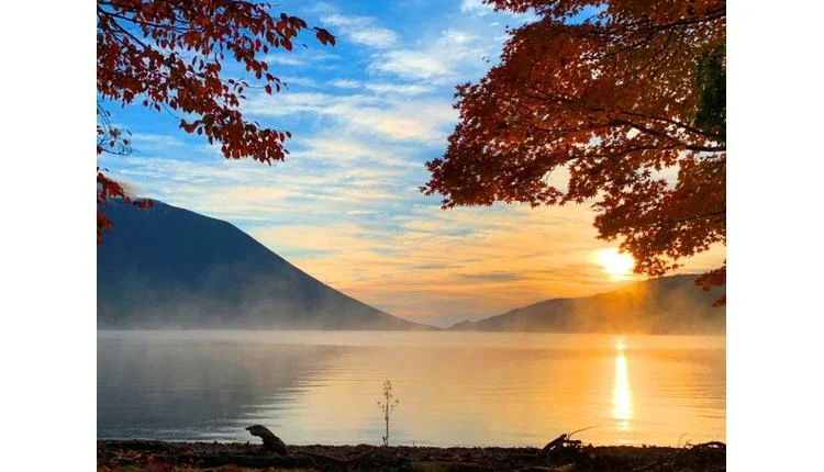 Tobu Railway boosts autumn access to Nikko's UNESCO sites