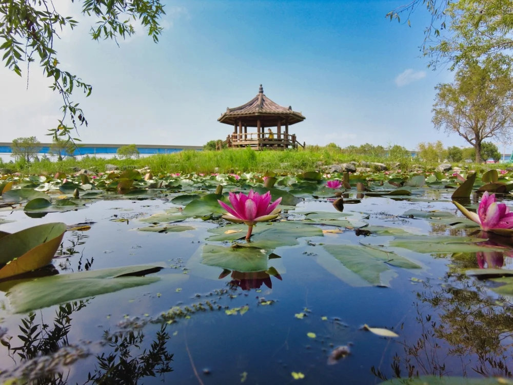 Travelex Data Reveals Shift in Japanese Golden Week Travel to Southeast Asia