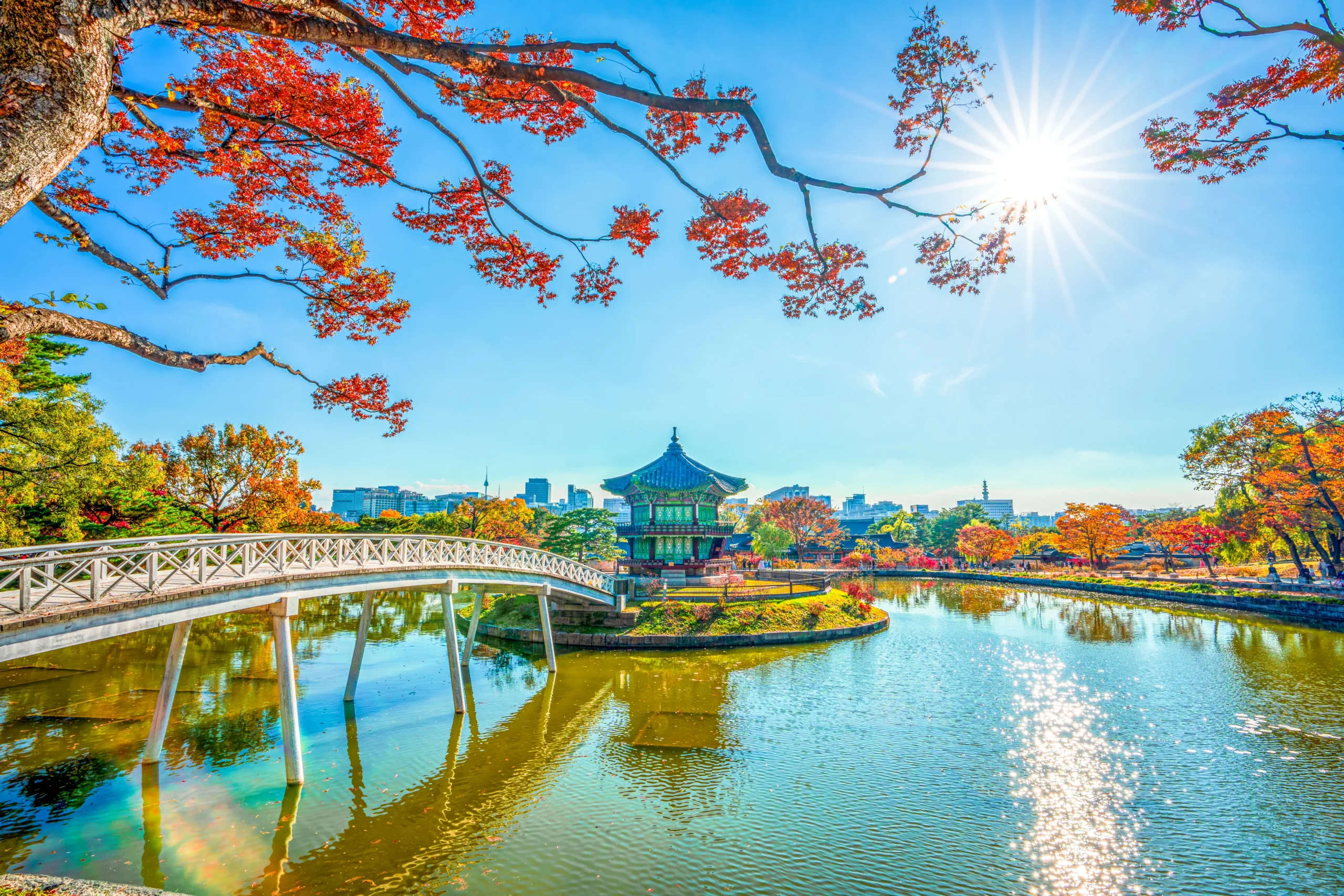 VFS Global opens sixth Korea visa centre in South Asia
