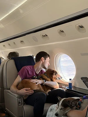 Vicuna Air launches Waypoints to ease pet travel across Europe