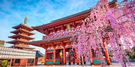 Viking Adds 15-Day Japan Discovery Cruise with Three New Ports for 2028