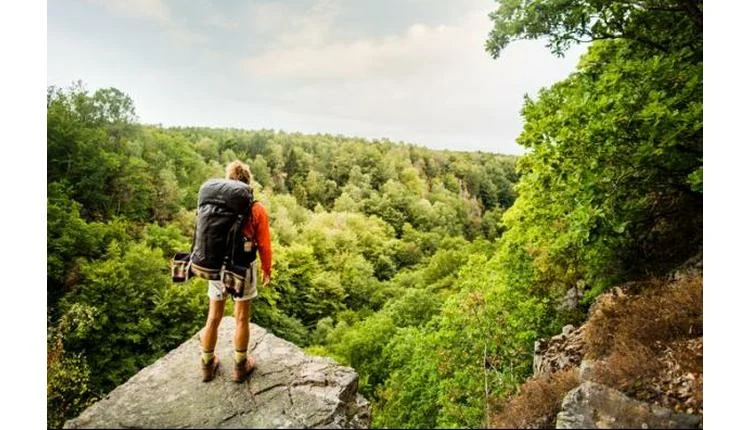 Visit Skåne's Stay Quiet 2026 offers free cabin stays for silent retreats