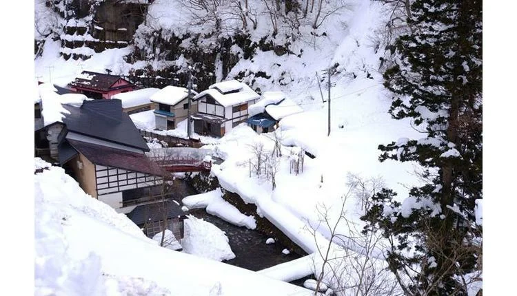 Walk Japan Launches 2027 Winter Itineraries Beyond Ski Resorts as Demand for Snow Country Surges
