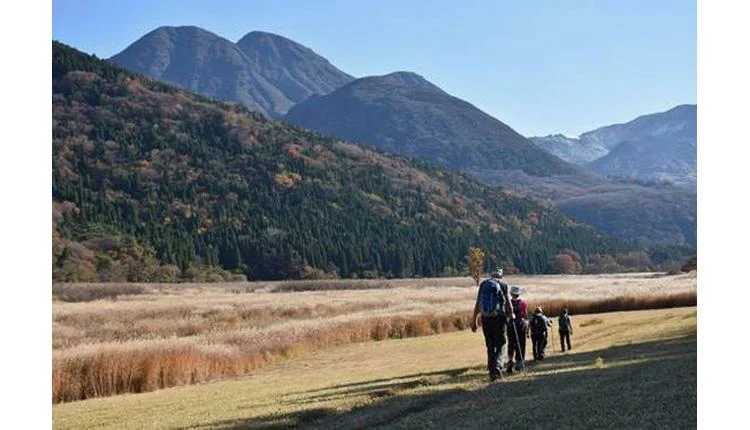 Walk Japan launches four solo-ish tours blending independence and shared moments