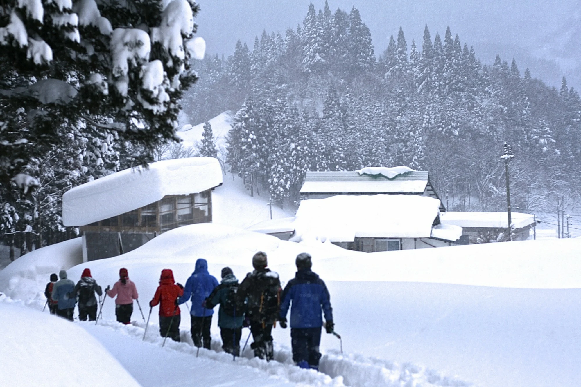 Walk Japan unveils five December countryside itineraries