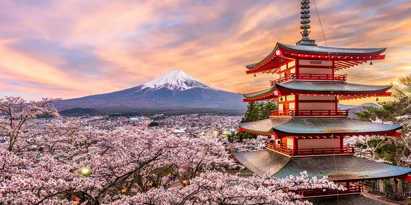 Wendy Wu Tours and ANA Partner to Drive Year-Round Japan Bookings Beyond Cherry Blossom Season