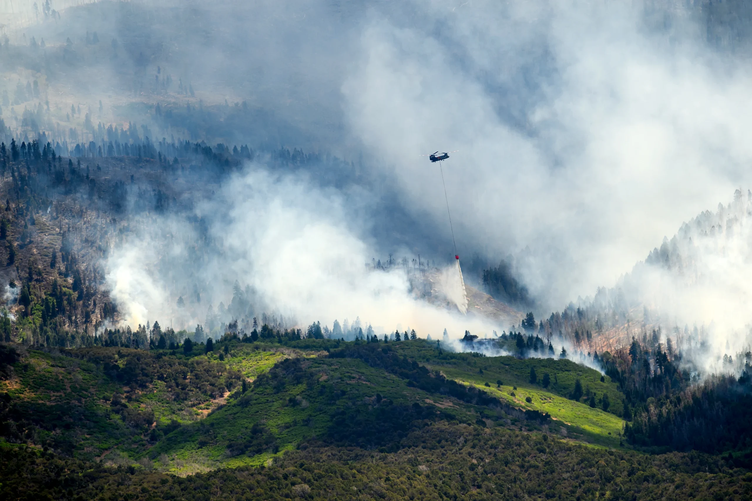 Western US wildfires hit summer travel revenue as smoke spreads