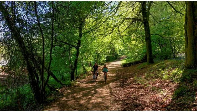 Whitemead Forest Park launches 20% early-bird discount for 2027 breaks